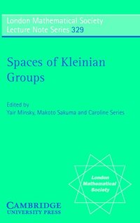 bokomslag Spaces of Kleinian Groups