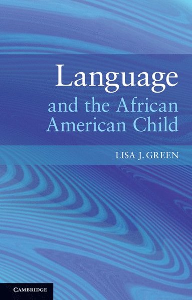 bokomslag Language and the African American Child