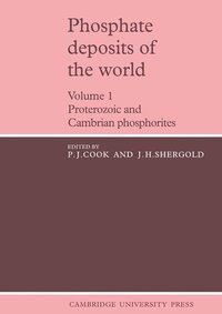 bokomslag Phosphate Deposits of the World: Volume 1