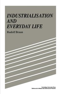 bokomslag Industrialisation and Everyday Life