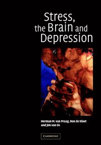 bokomslag Stress, the Brain and Depression
