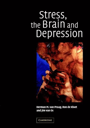 bokomslag Stress, the Brain and Depression