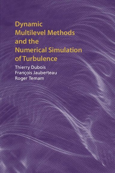 Thierry Dubois, François Jauberteau, Roger Temam - Dynamic Multilevel Methods and the Numerical Simulation of Turbulence, Inbunden