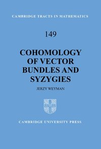 bokomslag Cohomology of Vector Bundles and Syzygies