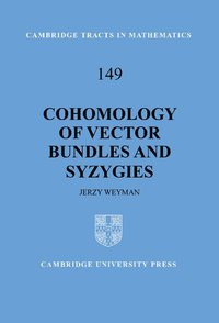 bokomslag Cohomology of Vector Bundles and Syzygies