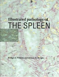 bokomslag Illustrated Pathology of the Spleen