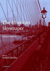 bokomslag The American Skyscraper