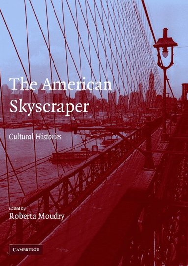 bokomslag The American Skyscraper