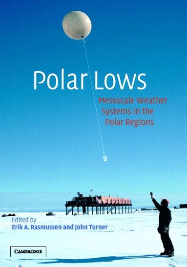 bokomslag Polar Lows