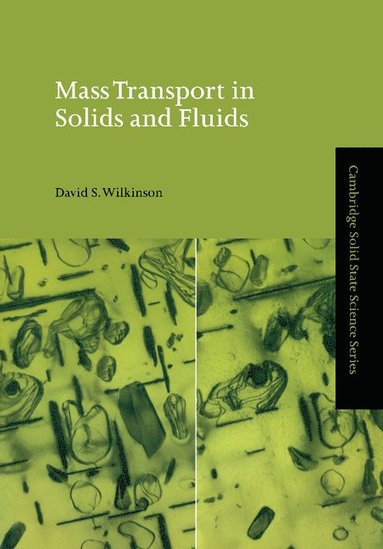 bokomslag Mass Transport in Solids and Fluids