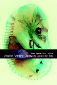 bokomslag Ontogeny, Functional Ecology, and Evolution of Bats