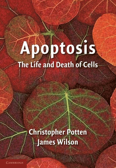 Apoptosis 1