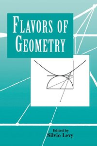 bokomslag Flavors of Geometry