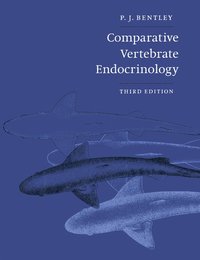 bokomslag Comparative Vertebrate Endocrinology