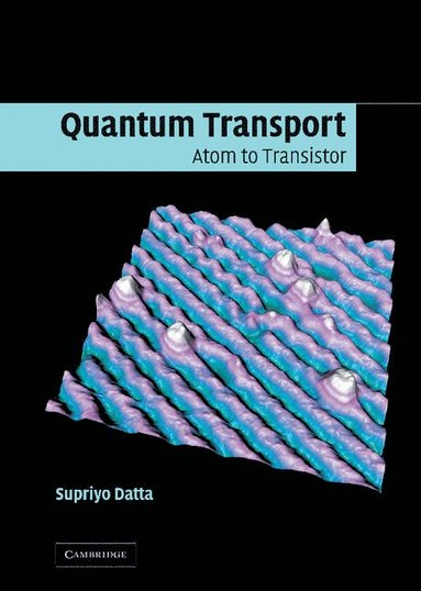 bokomslag Quantum Transport