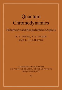 bokomslag Quantum Chromodynamics