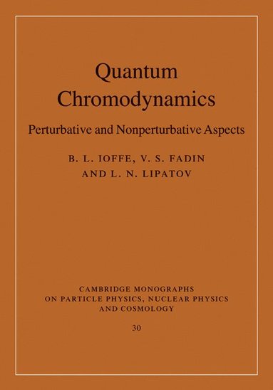 bokomslag Quantum Chromodynamics