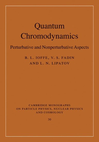 bokomslag Quantum Chromodynamics