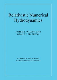 bokomslag Relativistic Numerical Hydrodynamics
