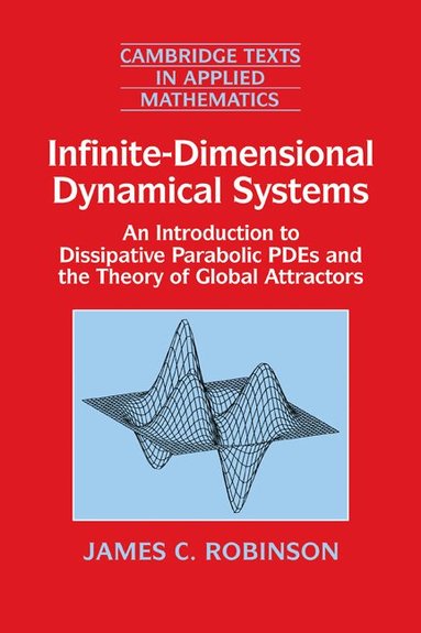 James C. Robinson, D. G. Crighton, M. J. Ablowitz - Infinite-Dimensional Dynamical Systems, Inbunden