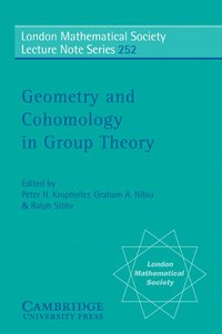 bokomslag Geometry and Cohomology in Group Theory