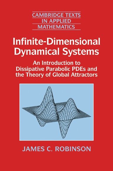 James C. Robinson - Infinite-Dimensional Dynamical Systems, Häftad