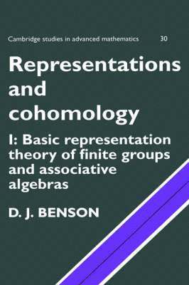 bokomslag Representations and Cohomology: Volume 1, Basic Representation Theory of Finite Groups and Associative Algebras