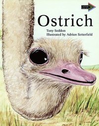bokomslag Ostrich South African Edition
