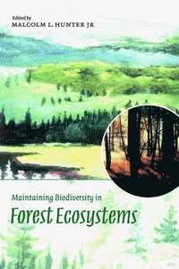 bokomslag Maintaining Biodiversity in Forest Ecosystems