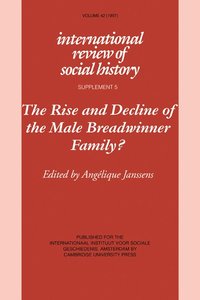 bokomslag The Rise and Decline of the Male Breadwinner Family?