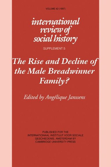 bokomslag The Rise and Decline of the Male Breadwinner Family?