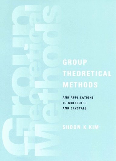 bokomslag Group Theoretical Methods and Applications to Molecules and Crystals