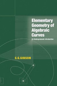 bokomslag Elementary Geometry of Algebraic Curves