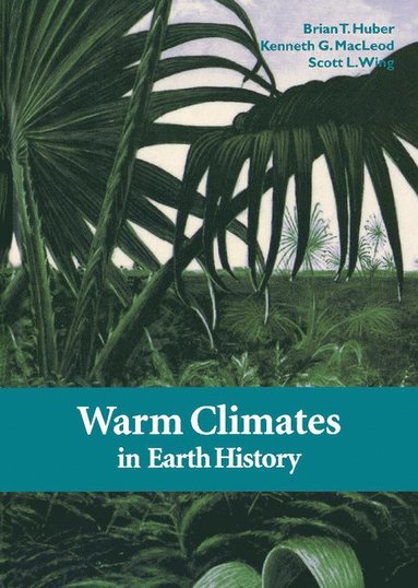bokomslag Warm Climates in Earth History
