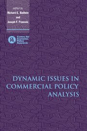 bokomslag Dynamic Issues in Commercial Policy Analysis