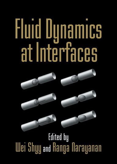 Wei Shyy, Ranga Narayanan - Fluid Dynamics at Interfaces, Inbunden