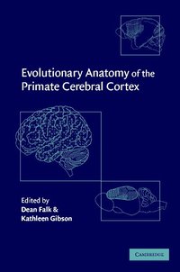 bokomslag Evolutionary Anatomy of the Primate Cerebral Cortex