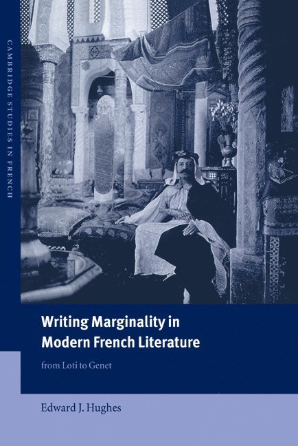 Writing Marginality in Modern French Literature 1