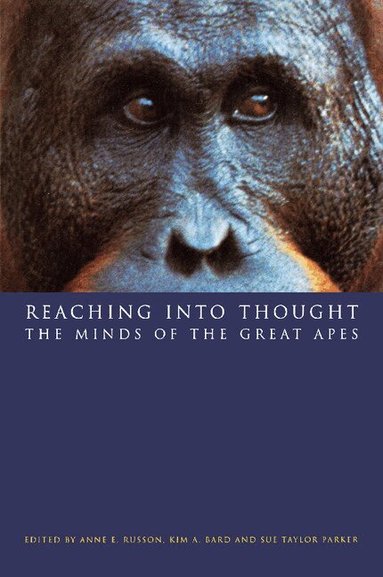 Anne E. Russon, Kim A. Bard, Sue Taylor Parker - Reaching into Thought, Häftad