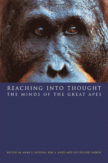 Reaching into Thought