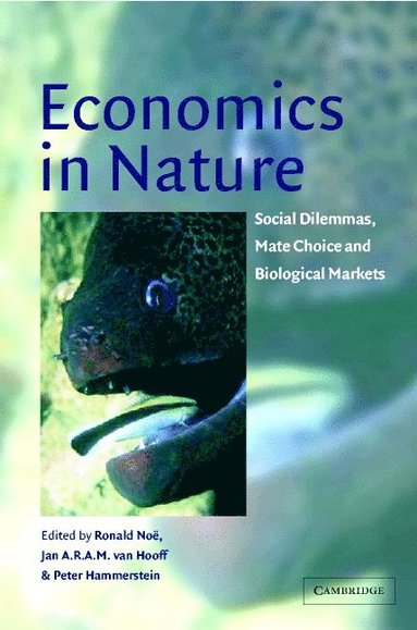bokomslag Economics in Nature