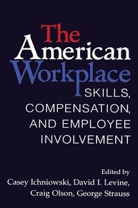 bokomslag The American Workplace