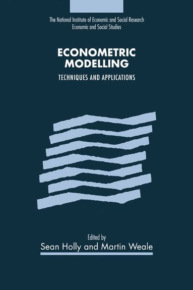 bokomslag Econometric Modelling: Techniques and Applications