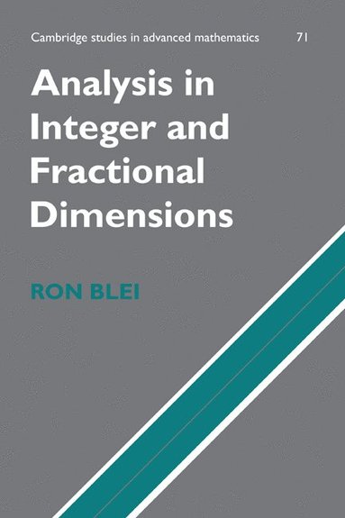 bokomslag Analysis in Integer and Fractional Dimensions