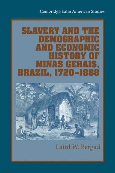 bokomslag Slavery and the Demographic and Economic History of Minas Gerais, Brazil, 1720 1888