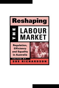 bokomslag Reshaping the Labour Market