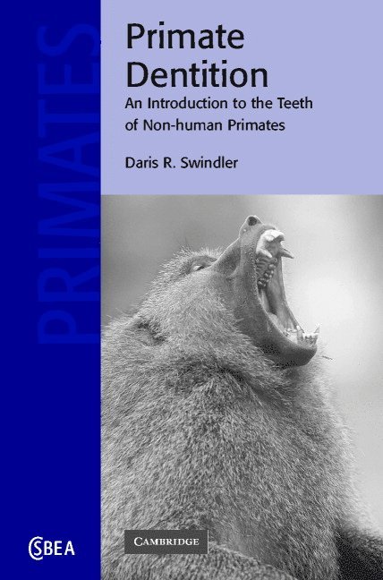 Primate Dentition 1