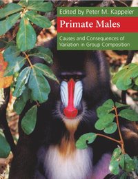bokomslag Primate Males