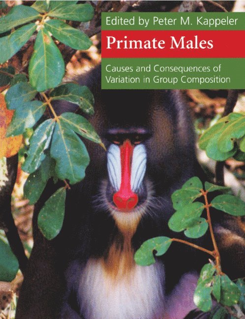 Primate Males 1