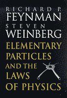 bokomslag Elementary Particles and the Laws of Physics